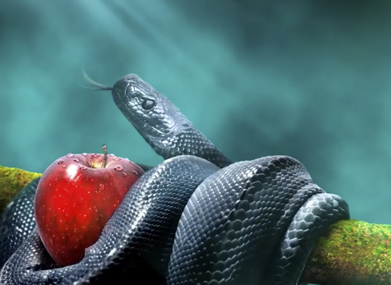 snake and apple